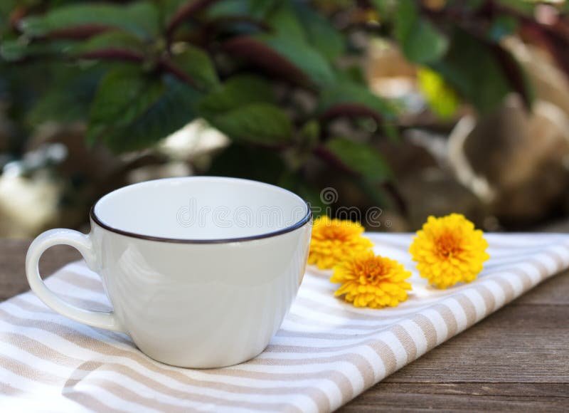 Estamos invitados a tomar el té Descubre sus tradiciones y variedades 7 Estamos invitados a tomar el té Descubre sus tradiciones y variedades