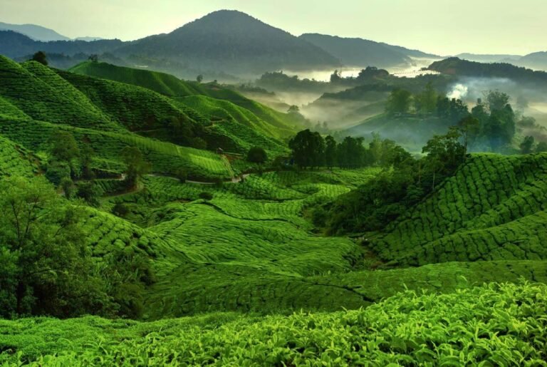 tienda de repuestos en un paisaje montanoso