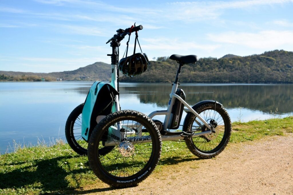 Dónde Comprar un Triciclo Eléctrico para Adultos en Argentina