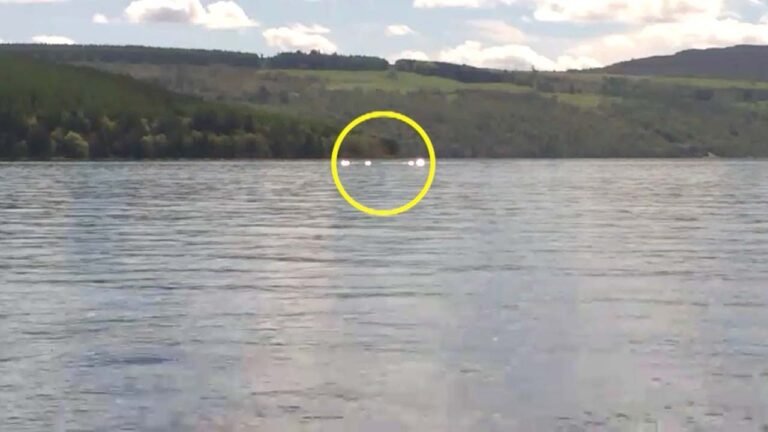 un monstruo contemplando su reflejo en el agua