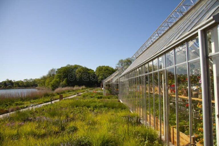 vista exterior del restaurante al mundo